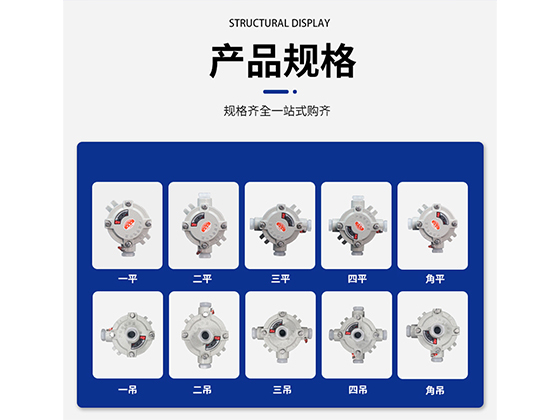 不止是 “管件”：防爆管件如何成为危险区域的安全屏障