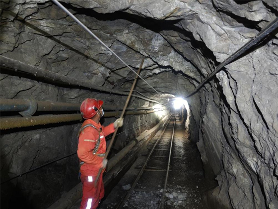 深耕防爆！浙江新黎明以技术实力，助力矿山 / 医药行业安全升级